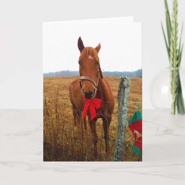 Christmas Horse Holiday Card (Front)