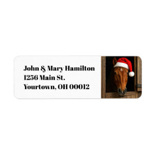 Christmas Horse In Stable Window