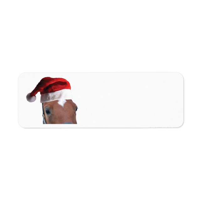Christmas Horse wearing a Santa Claus Hat (Front)