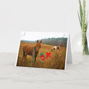 Christmas Horse with bow and stocking Holiday Card