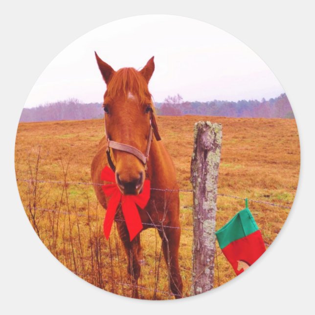 Christmas Horse with bow & stocking Classic Round Sticker (Front)