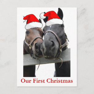 Christmas Horses Holiday Postcard