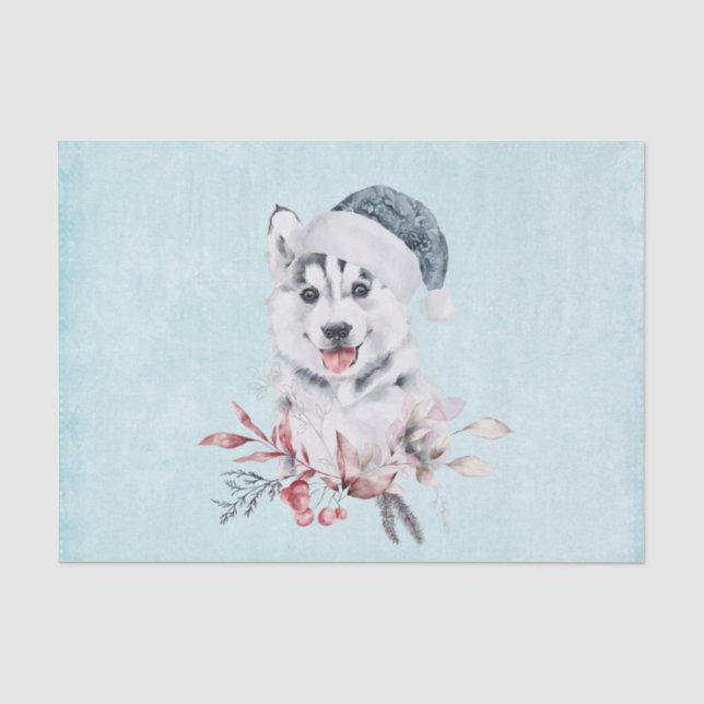 Christmas Husky Dog in a Santa Hat Tissue Paper (Front)