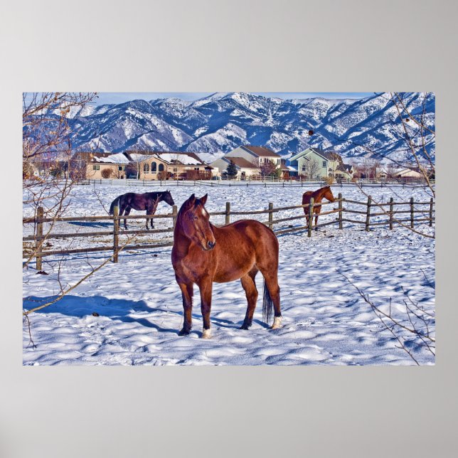 Christmas in Bozeman Montana Poster (Front)