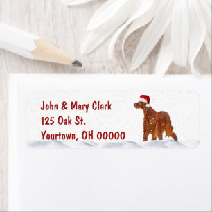 Christmas Irish Setter In Snow