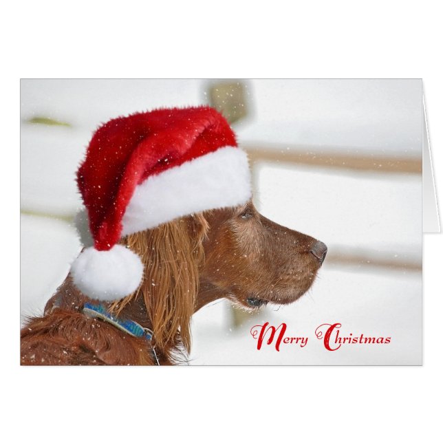 Christmas Irish Setter in snowflakes (Front Horizontal)