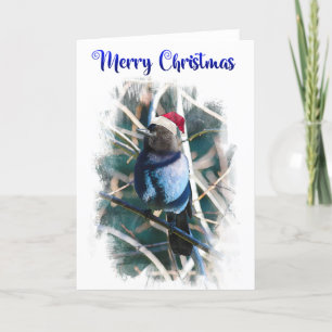 Christmas Jay - 7" x 5" Card