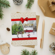 Christmas Joy and Peace Photo