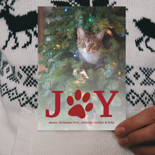 Christmas Joy   Pet Holiday Photo Card