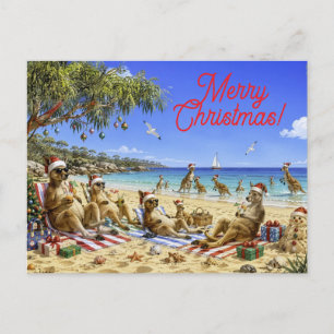 Christmas Kangaroo Beach Picnic Merry Christmas Holiday Postcard