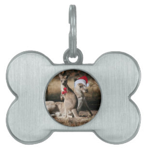 Christmas Kangaroos Australian Style Pet ID Tag