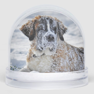 Christmas, Keepsake, or Memorial Custom Pet Photo Snowglobe