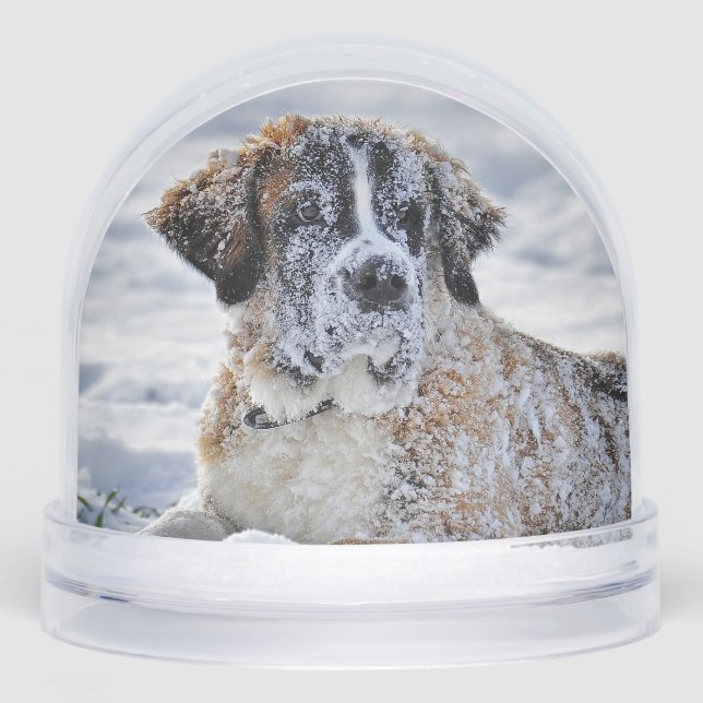 Christmas, Keepsake, or Memorial Custom Pet Photo  Snowglobe (Front)
