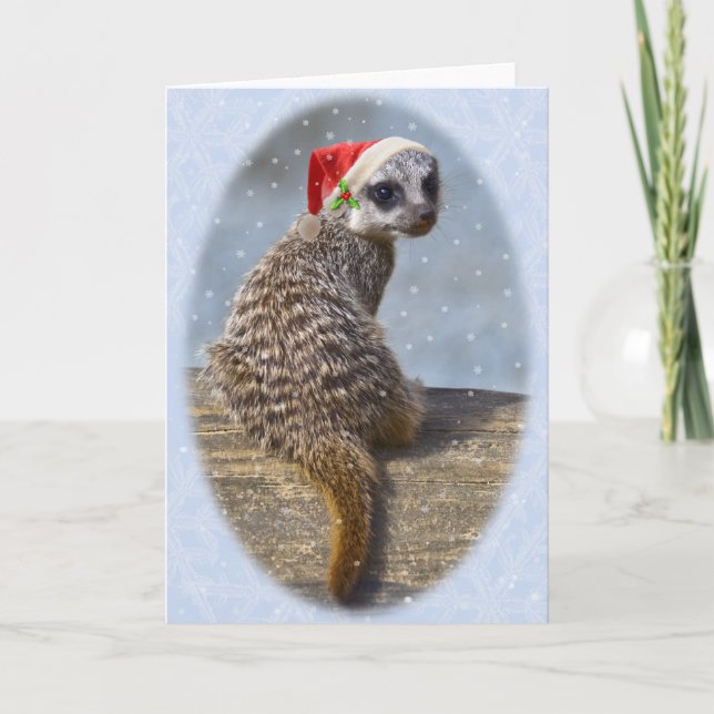 Christmas Kit Christmas Card (blank message) (Front)