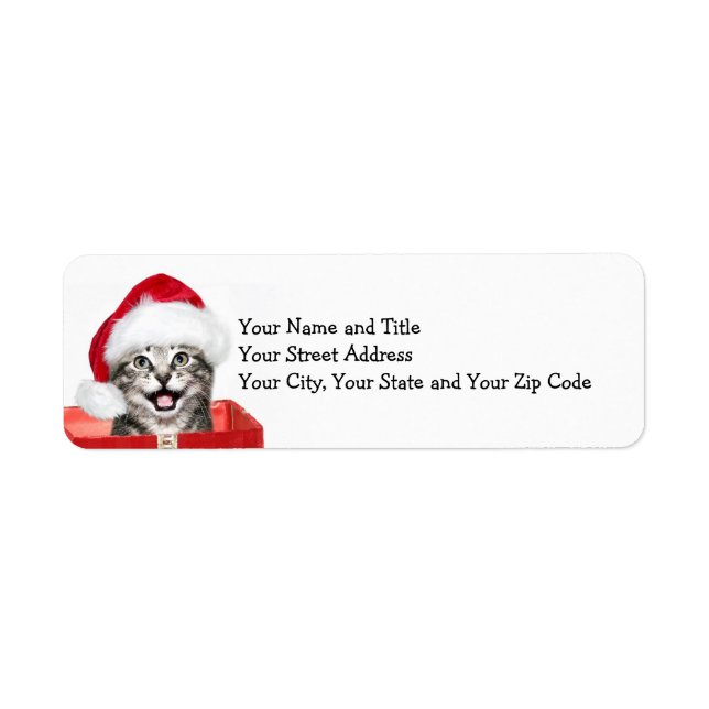 Christmas kitten (Front)