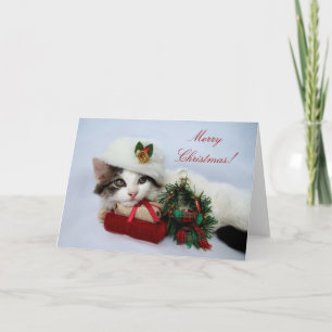 Christmas Kitten Card