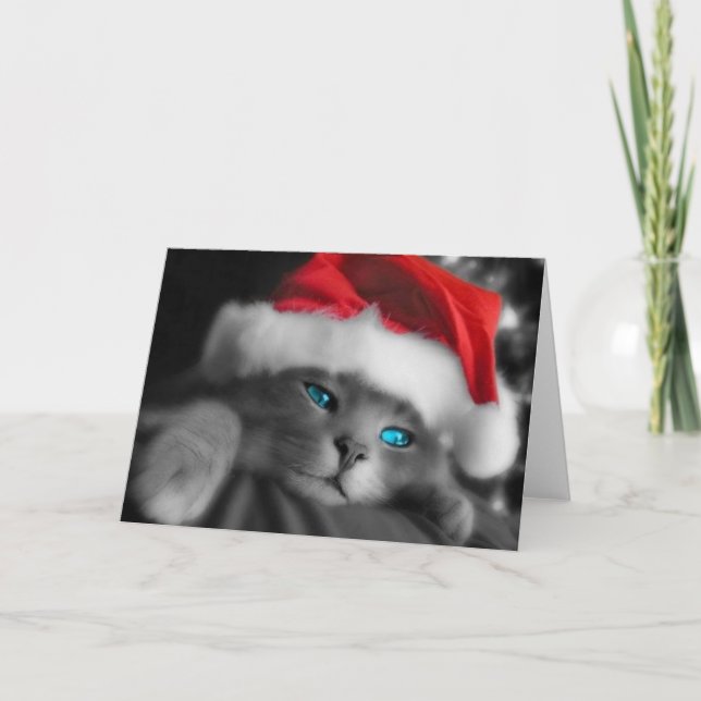 Christmas Kitten Holiday Card (Front)
