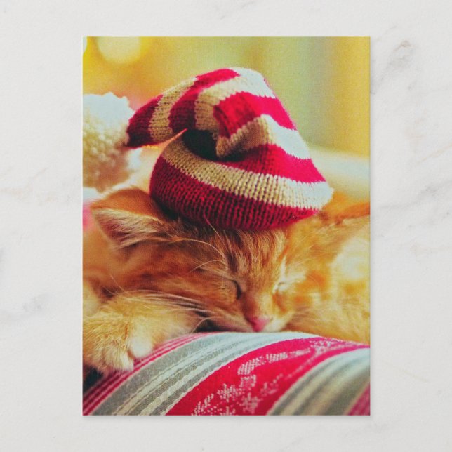 Christmas Kitten Holiday Postcard (Front)