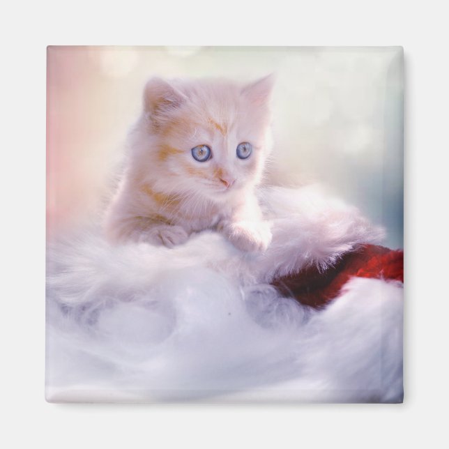 Christmas Kitten Magnet (Front)