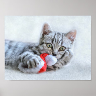 Christmas Kitten Poster