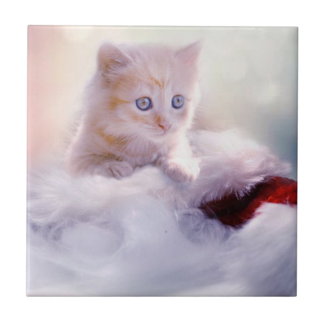 Christmas Kitten Tile (Front)
