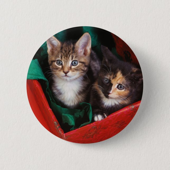 Christmas Kittens 2 Inch Round Button (Front)