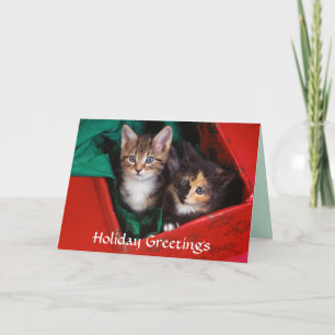 Christmas Kittens Holiday Card
