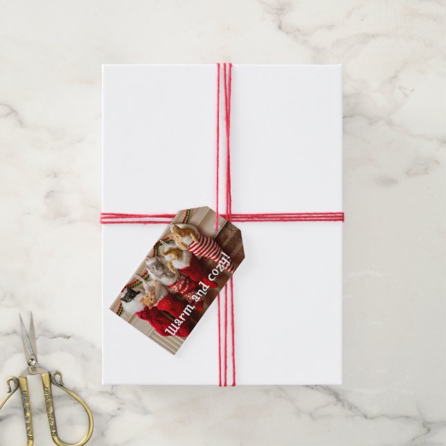 Christmas Kittens in Stockings Gift Tags (With Twine)