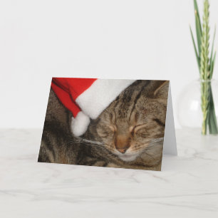 Christmas Kitty Holiday Card