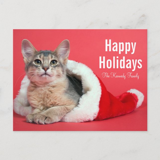 Christmas kitty holiday postcard (Front)