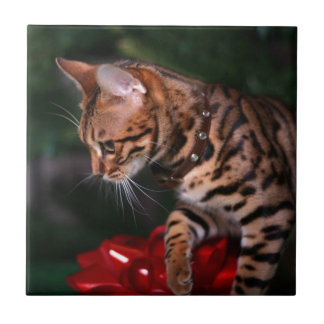 Christmas Kitty Photo (Domestic Bengal Cat) Tile