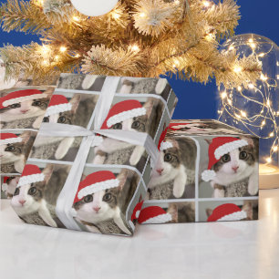 Christmas Kitty Wrapping Paper