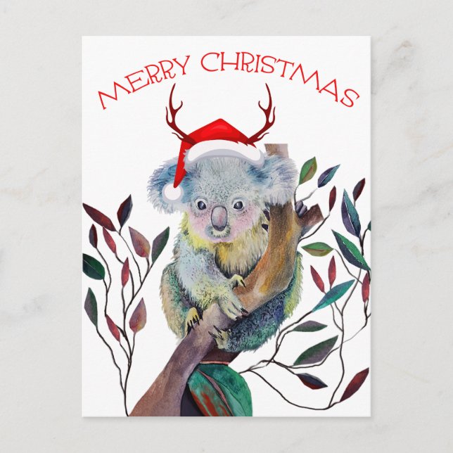 Christmas Koala wearing Santa Hat    Holiday Postcard (Front)