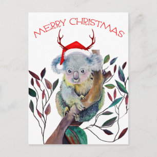 Christmas Koala wearing Santa Hat    Postcard