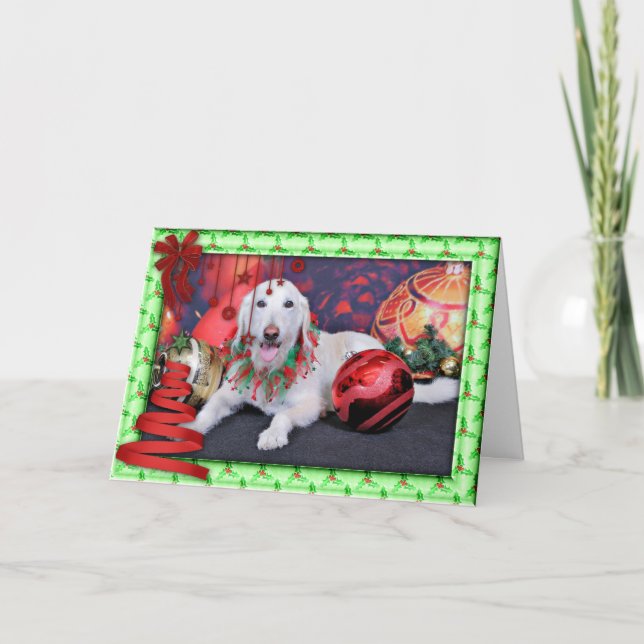 Christmas - LabraDoodle - Izzy Holiday Card (Front)