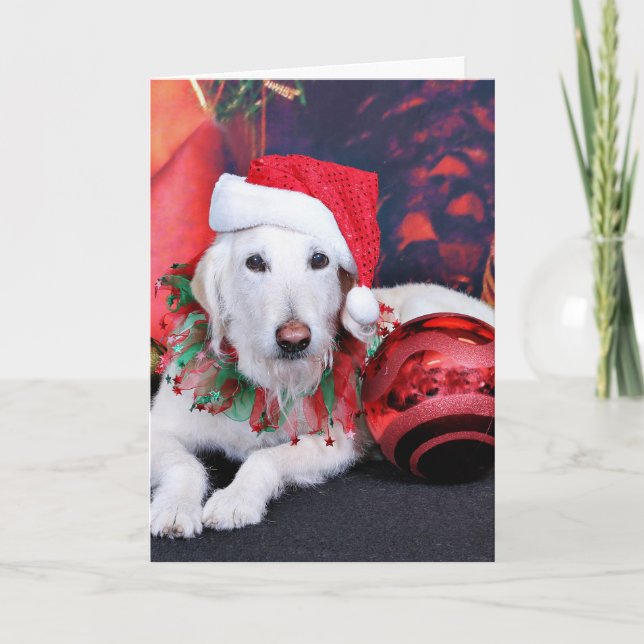 Christmas - LabraDoodle - Izzy Holiday Card (Front)