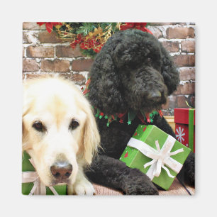 Christmas - Labradoodle Miller - Golden Retriever Magnet