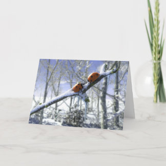 Christmas ladybirds holiday card