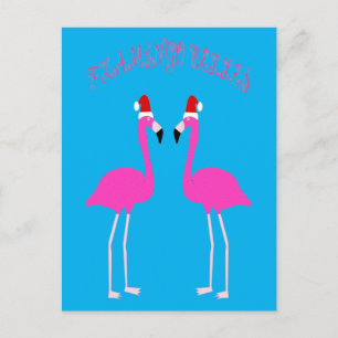 Christmas Lesbian Flamingos Flamingo Belles Postcard