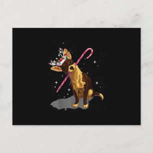 christmas lights chihuahua announcement postcard