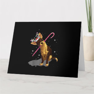 christmas lights chihuahua card