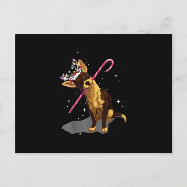 christmas lights chihuahua postcard (Front)