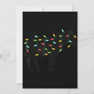 Christmas Lights Donkey Zoo Animal Lover Xmas Gift Holiday Card