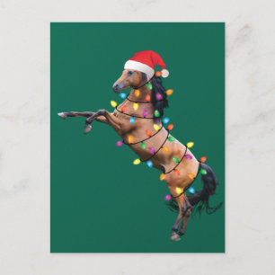 Christmas Lights Horse Santa Funny Xmas Tree Horse Postcard