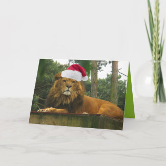 Christmas Lion Wearing Santa Hat Holiday Card