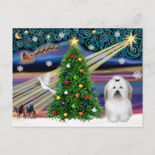 Christmas Magic Coton De Tulear Holiday Postcard