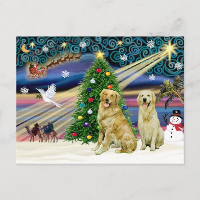 Christmas Magic Golden Retrievers (two) Holiday Postcard (Front)