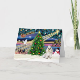 Christmas Magic Havanese (white) Holiday Card