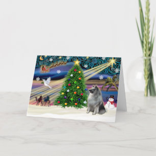 Christmas Magic Keeshond Holiday Card