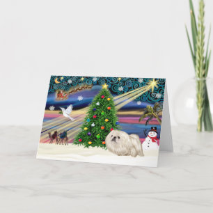Christmas Magic Pekingese (white) Holiday Card